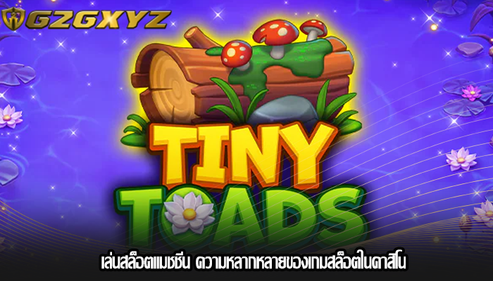 เล่นสล็อตแมชชีน ความหลากหลายของเกมสล็อตในคาสิโน