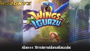 สล็อต666 วิธีการจัดการเงินในเกมสล็อตออนไลน์