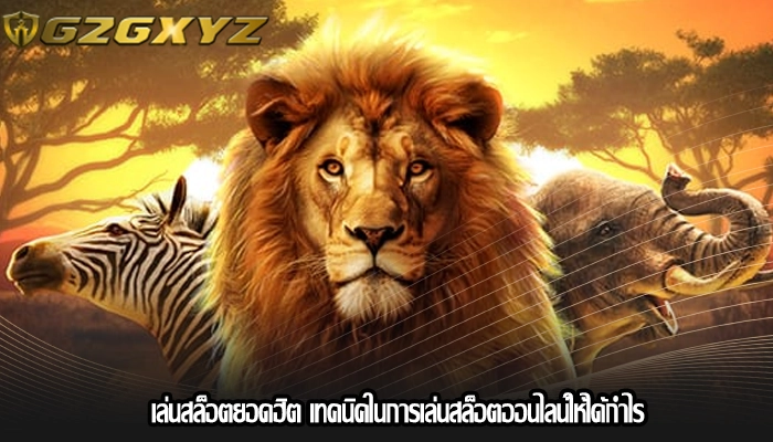 เล่นสล็อตยอดฮิต เทคนิคในการเล่นสล็อตออนไลน์ให้ได้กำไร